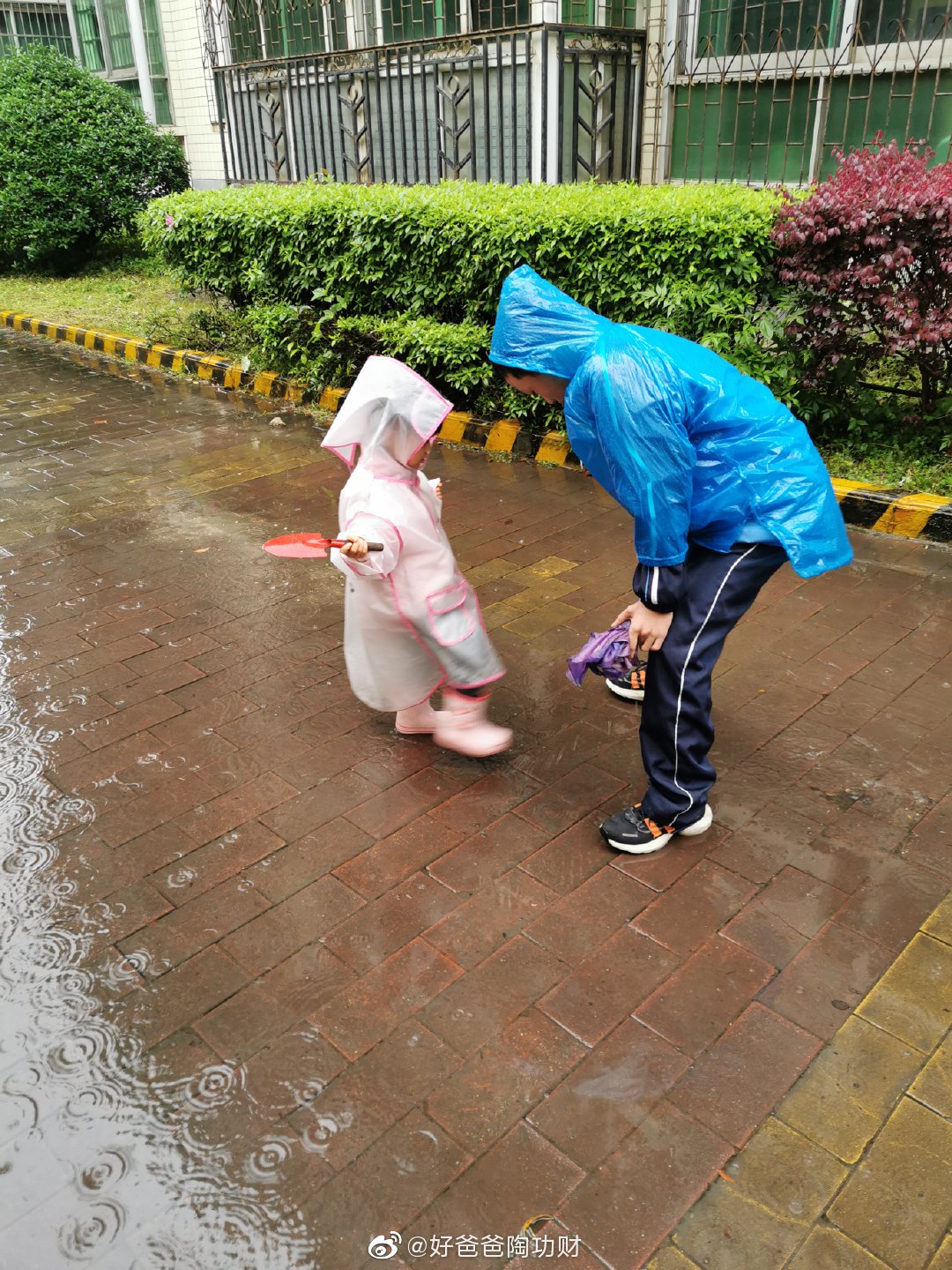 下雨的季节,孩子最开心的事情,莫过于可以出去踩水玩水……__财经头条