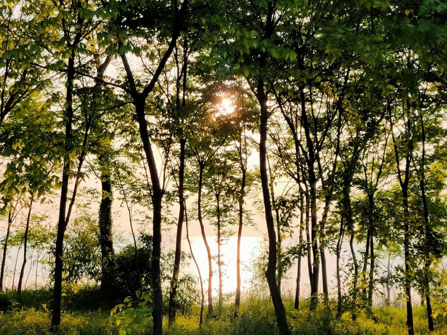 春天的夕阳__财经头条