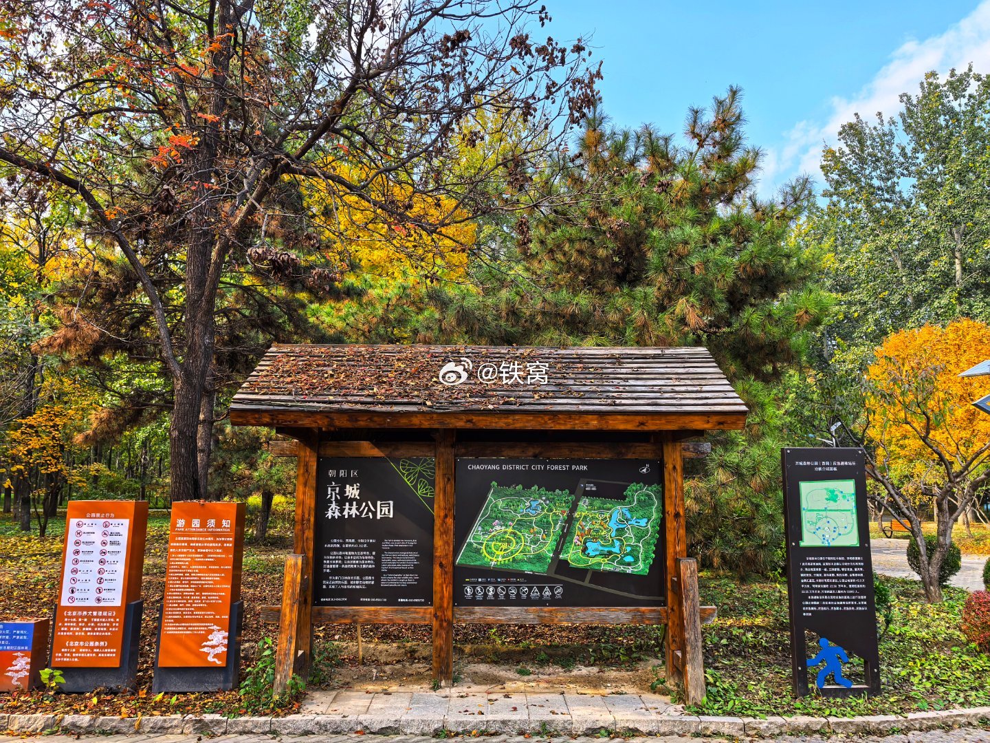 京城森林公园随拍