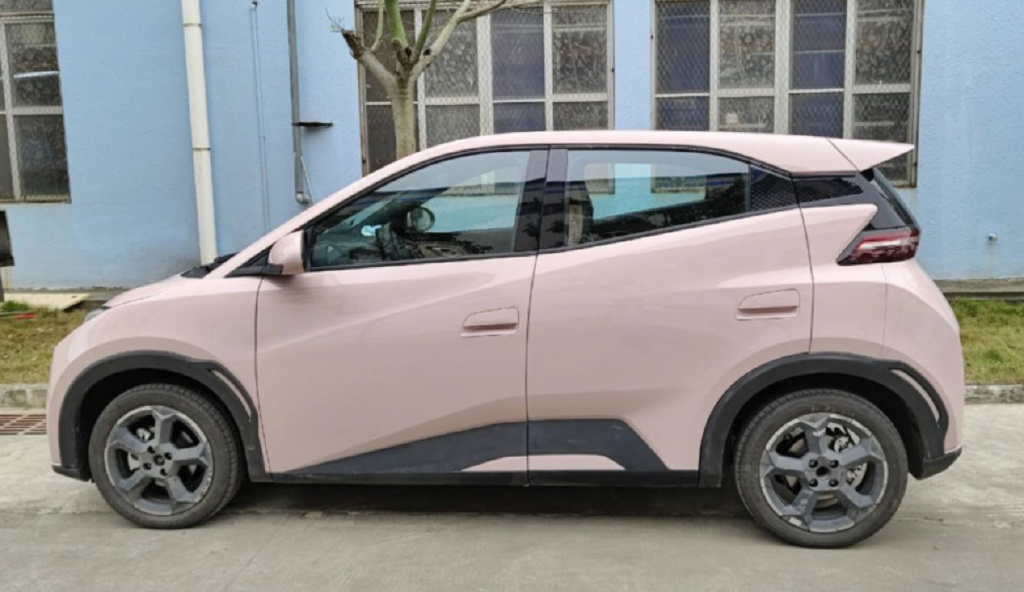 海鸥每天都充满电吗