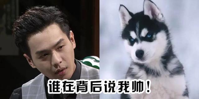 尤其是张若昀的"哈士奇"脸,能否成功挑战大银幕呢?