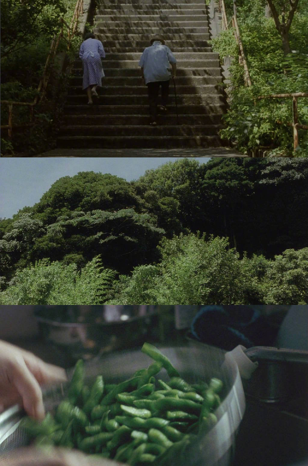 是枝裕和的夏天._高清图集_新浪网