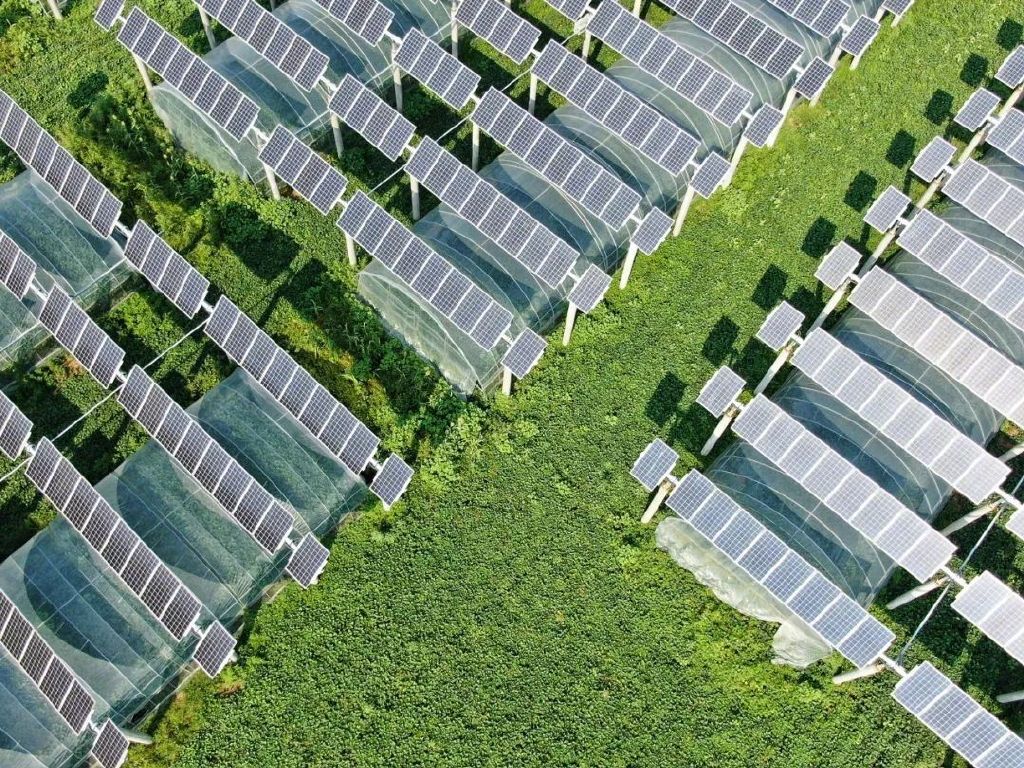 走！一起回乡村休闲区蓝鸢梦想 - Www.slyday.coM