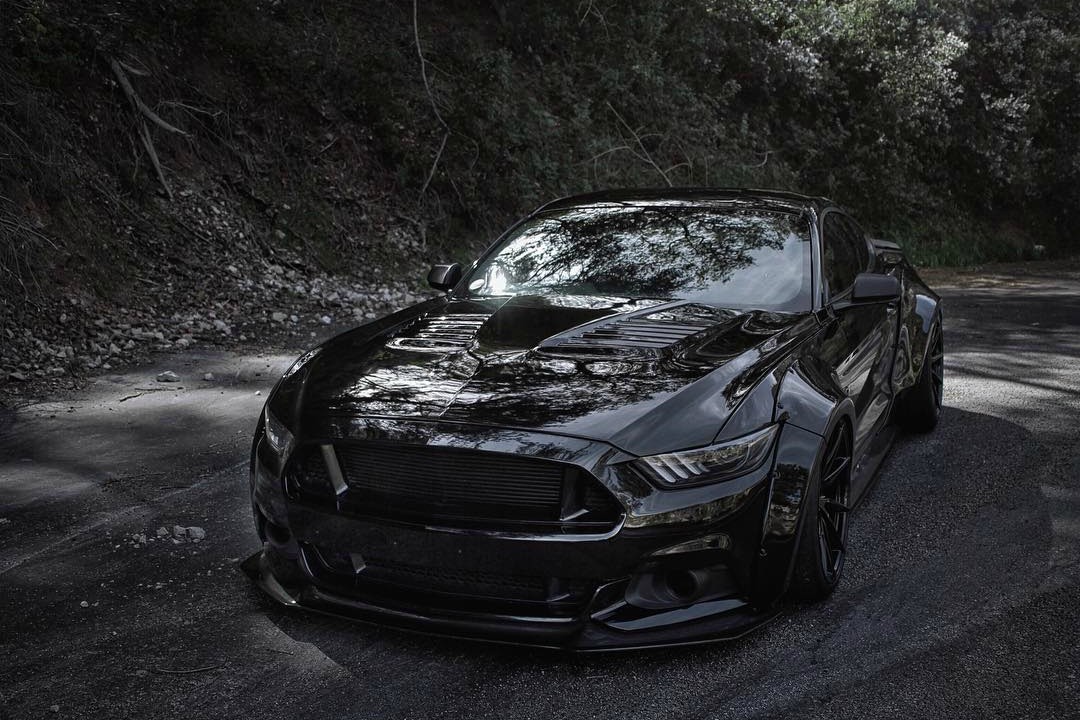 一匹黑色野马mustang