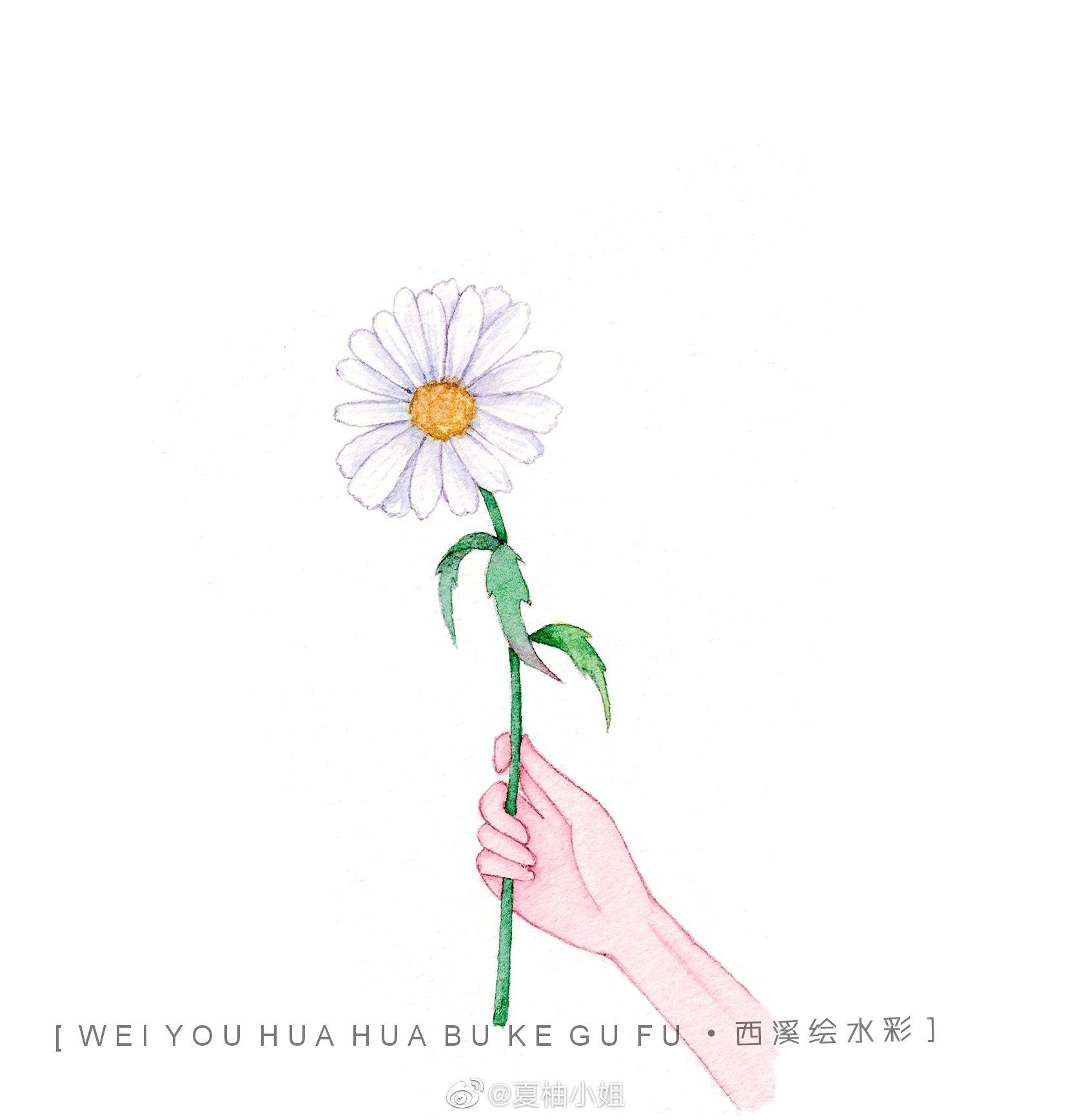 呐～送你一朵小花花94@西溪绘水彩_高清图集_新浪网