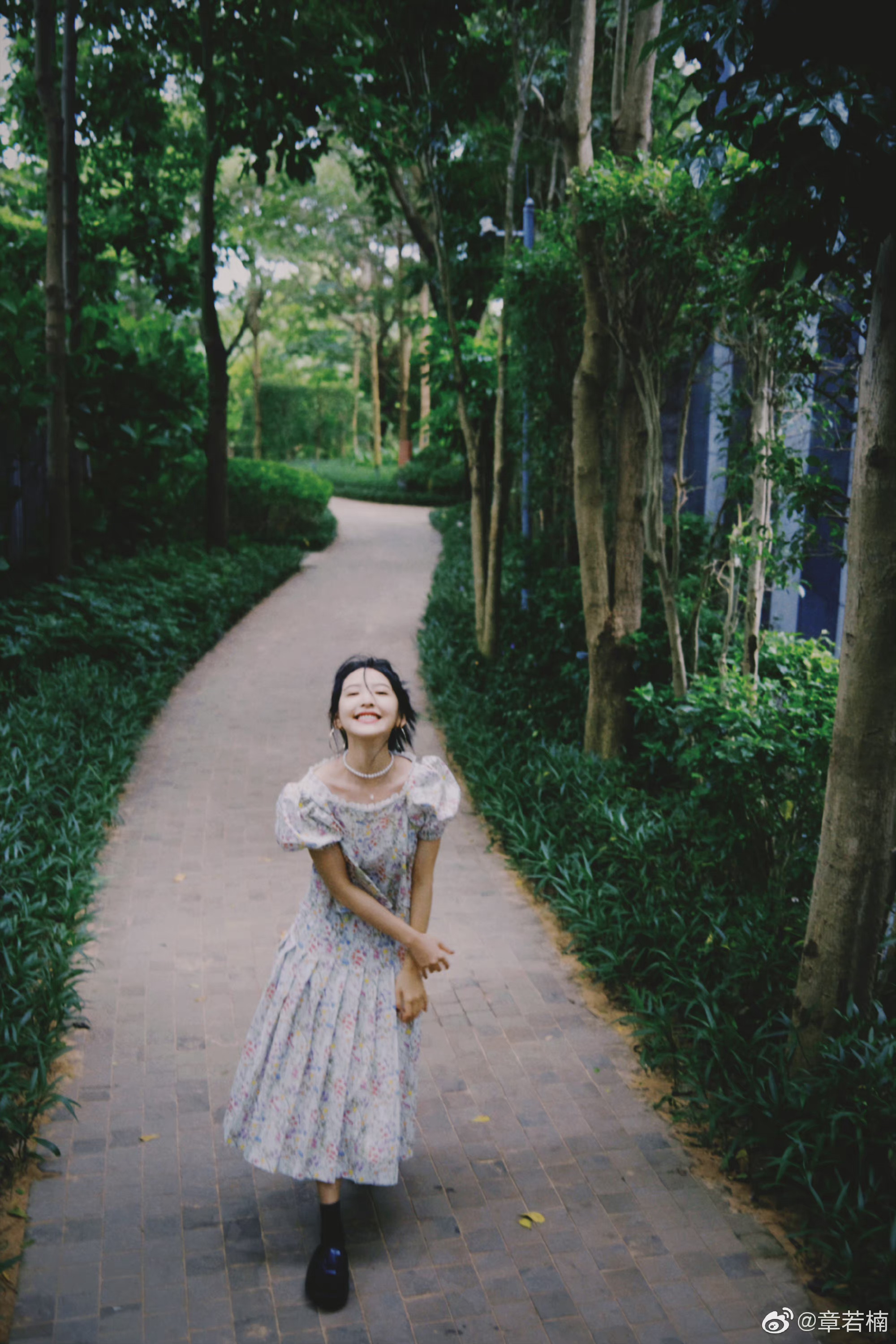 章若楠更博:"一些胶片日常 676767"海边氛围感十足,好美!