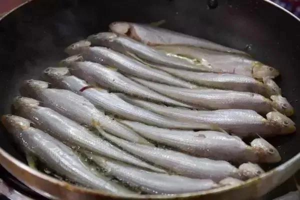 史上最全海鲜品种,以后不怕不认识海鲜了,值得看看