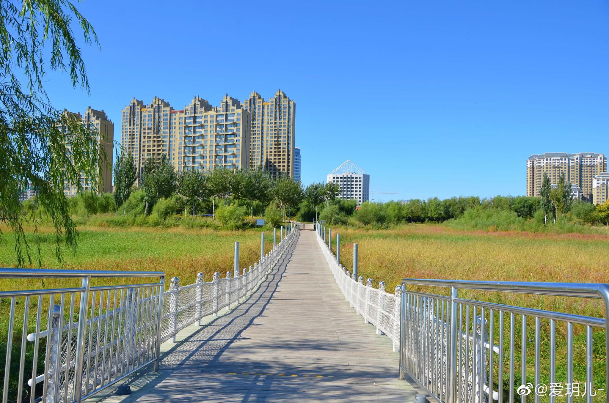 春天的通辽市新城区辽河公园水净景美_高清图集_新浪网