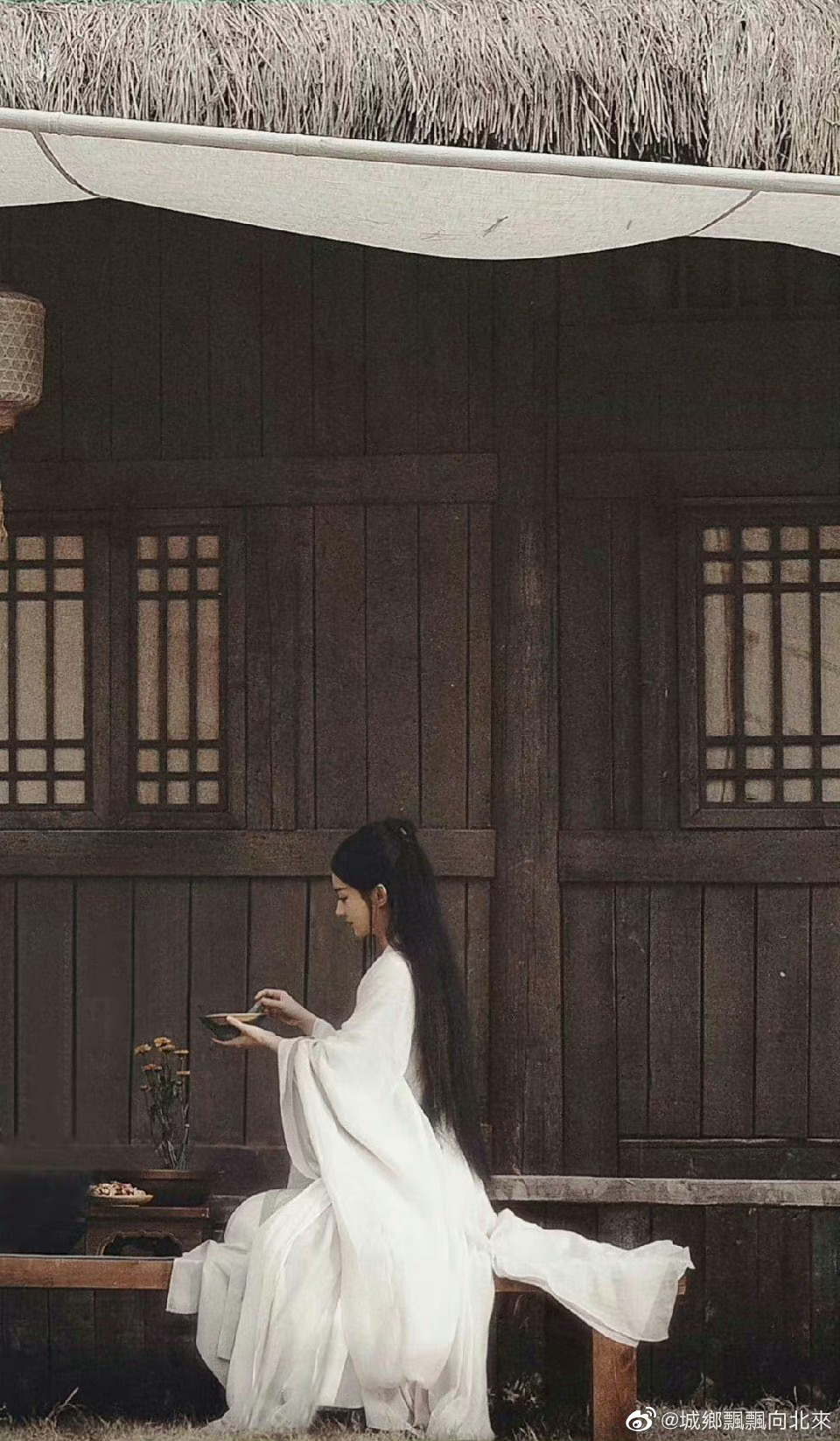 凤在江湖电视剧全集在线观看
