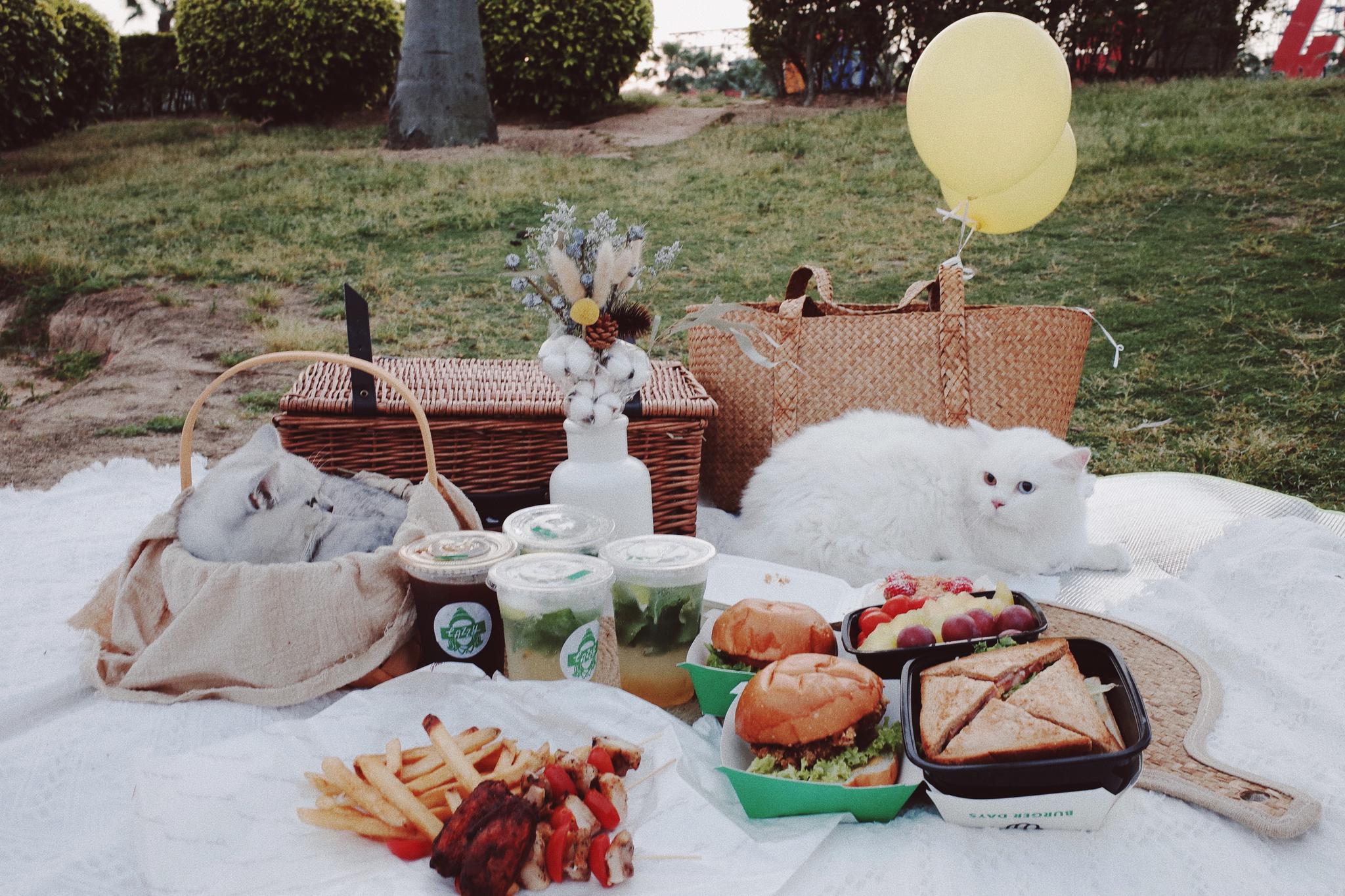 好天气就应该和好朋友和可爱猫咪一起超超快乐野餐鸭!