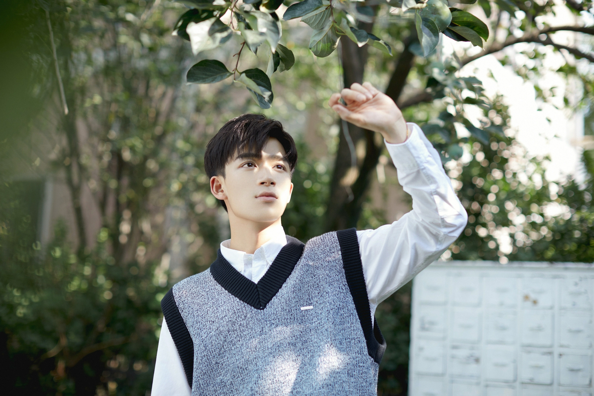 欢娱影视演员@王星越 最新秋日写真大片今日发布|演员|写真大片_新浪