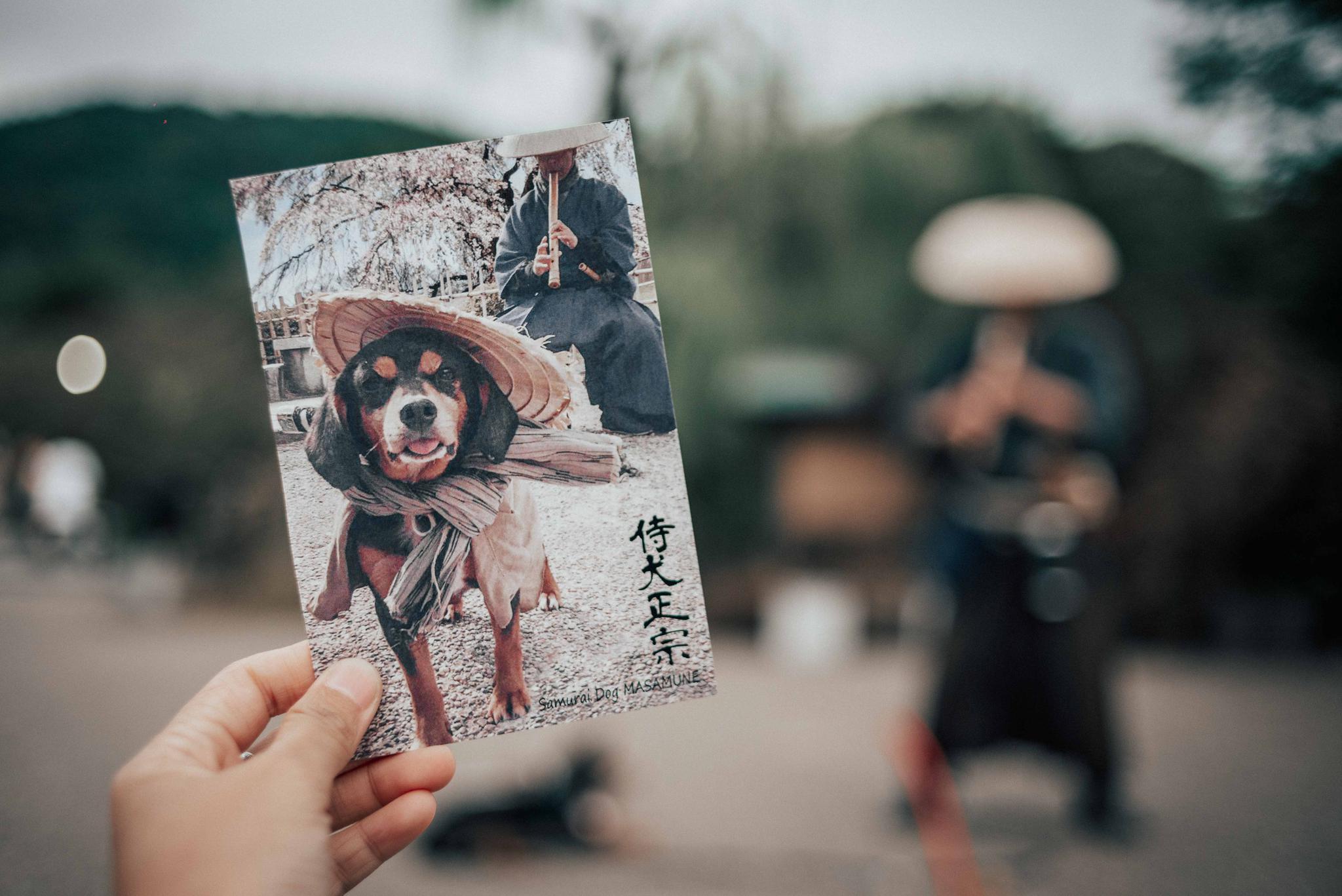 头戴斗笠,系着围巾,身背短刀__财经头条