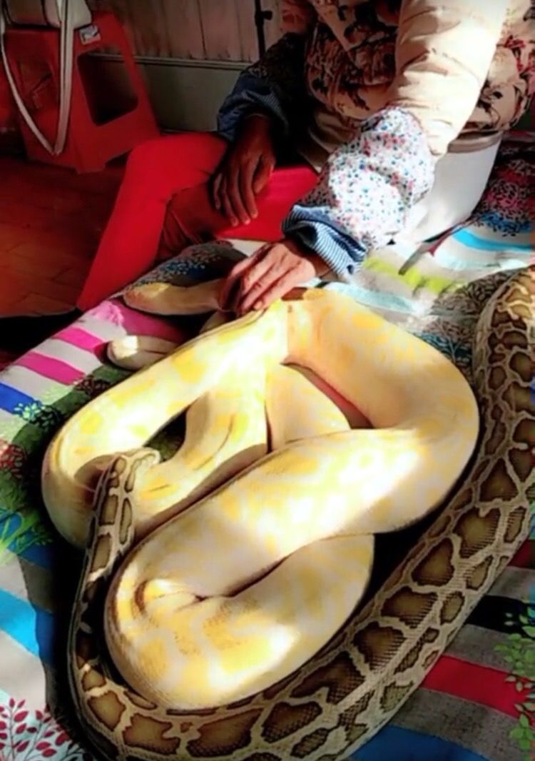 鸡皮疙瘩全图(看了必定起鸡皮疙瘩的图片)