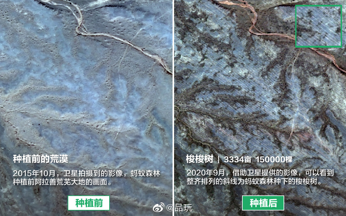 近日有网友反映，位于内蒙古阿拉善左旗的蚂蚁森林277号林疑似未种植休闲区蓝鸢梦想 - Www.slyday.coM