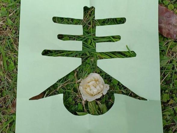 小学师生校园里找春天镂空创意画将美好定格
