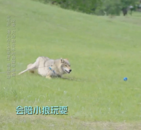 同样是催泪神作,尔冬升用5年时间打造的这部新作,哭完被治愈了休闲区蓝鸢梦想 - Www.slyday.coM 同样是催泪神作,尔冬升用5年时间打造的这部新作,哭完被治愈了休闲区蓝鸢梦想 - Www.slyday.coM