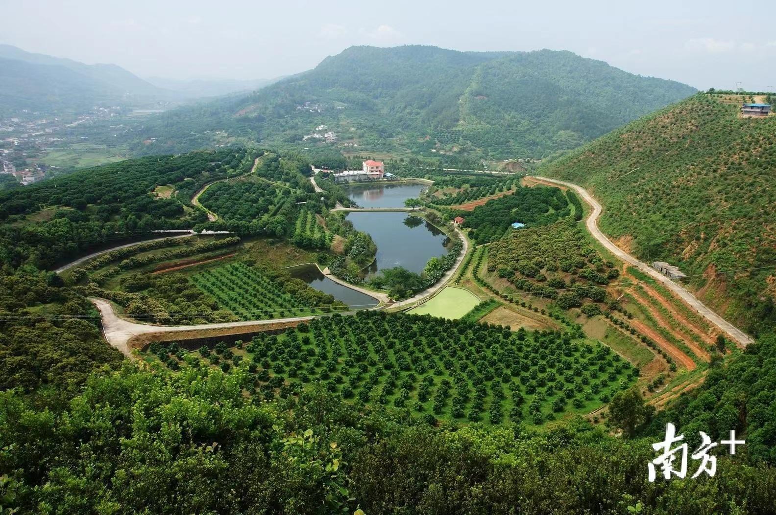 图为梅县区桥溪古韵景区乡道y360.李木炎 摄