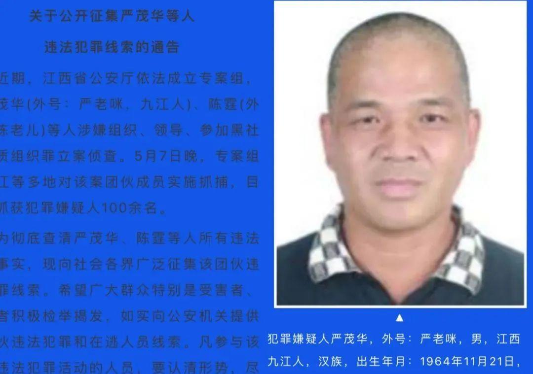 九江黑老大严老咪暗杀竞争对手垄断房地产高利贷等行业