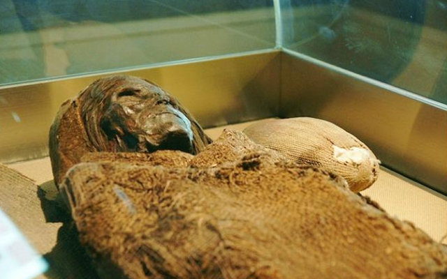 泰国曼谷有一所死亡博物馆