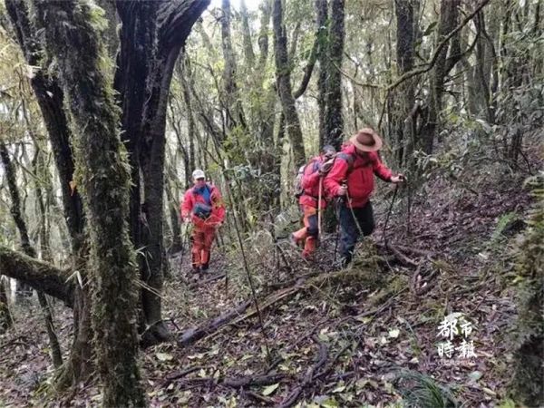 突发！中国地质调查局4名人员在云南哀牢山失联 千余人次参与搜救休闲区蓝鸢梦想 - Www.slyday.coM
