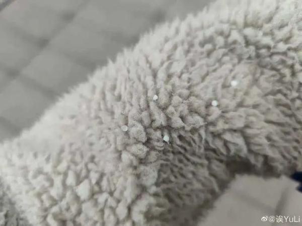 上海下雪啦！你看到没？气温仍在下降中，后天最低休闲区蓝鸢梦想 - Www.slyday.coM