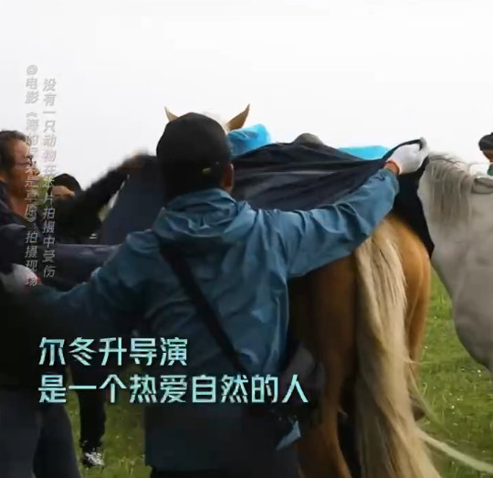 同样是催泪神作,尔冬升用5年时间打造的这部新作,哭完被治愈了休闲区蓝鸢梦想 - Www.slyday.coM 同样是催泪神作,尔冬升用5年时间打造的这部新作,哭完被治愈了休闲区蓝鸢梦想 - Www.slyday.coM