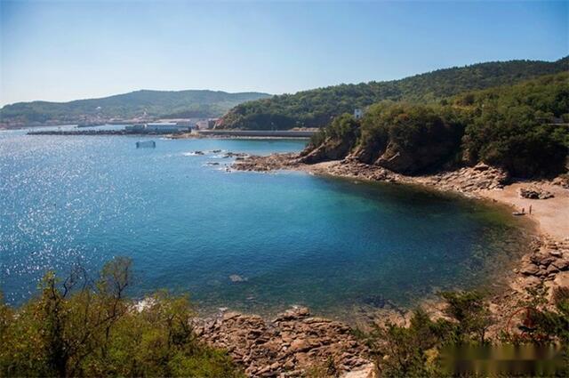 獐子岛在大连长海县獐子岛镇,交通十分便捷,三条高速客轮,一条普通