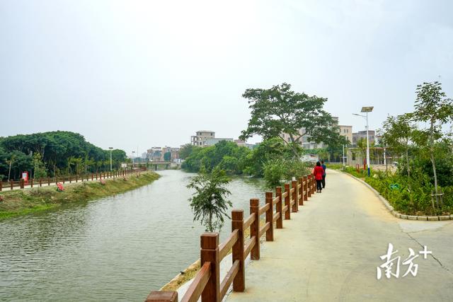 枫岭头镇_枫岭头镇最新消息,新闻,图片,视频_聚合阅读_新浪网