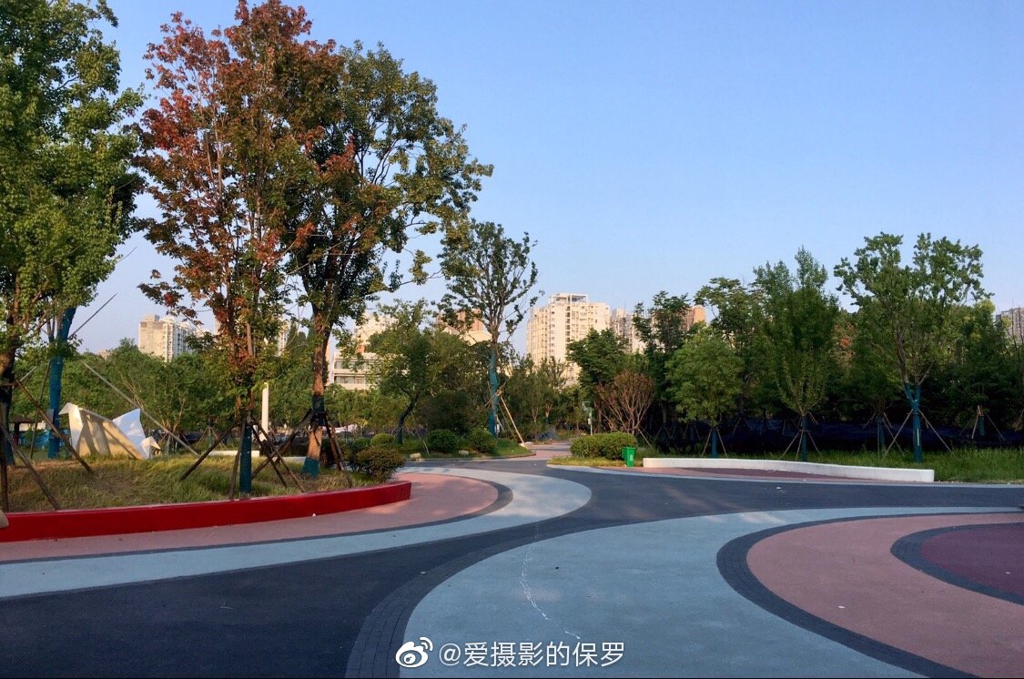 巡司河活水公园·狗尾草·夕阳. 巡司河活水公园(武汉市洪山区)