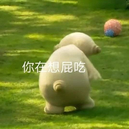 表情包 | 举手同意