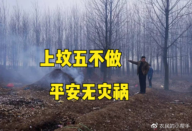 春节将至,老祖宗忠告“上坟五不做,平安无灾祸”,指哪5件事?|上坟|纸钱|老祖宗|孕妇|忠告|禁忌|灾祸|亲人|笔者|小孩_新浪新闻