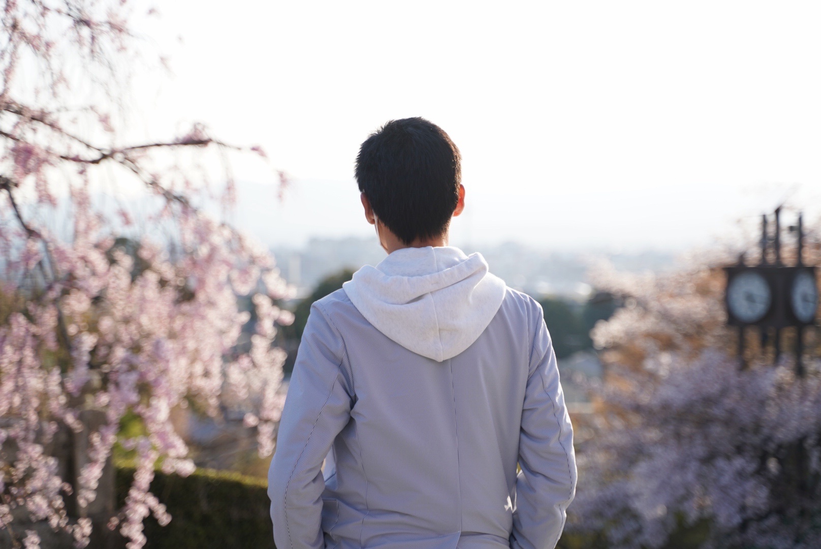 最近积攒了些负能量，来京都散心，舒缓一下|京都|能量_新浪新闻