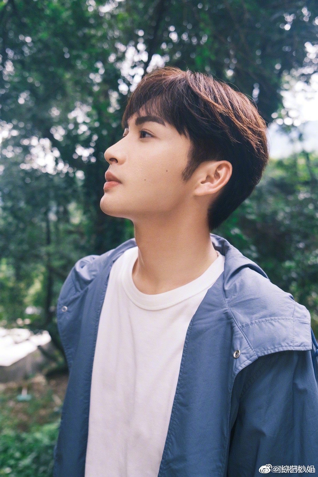 张彬彬发长文告别两个人的小森林