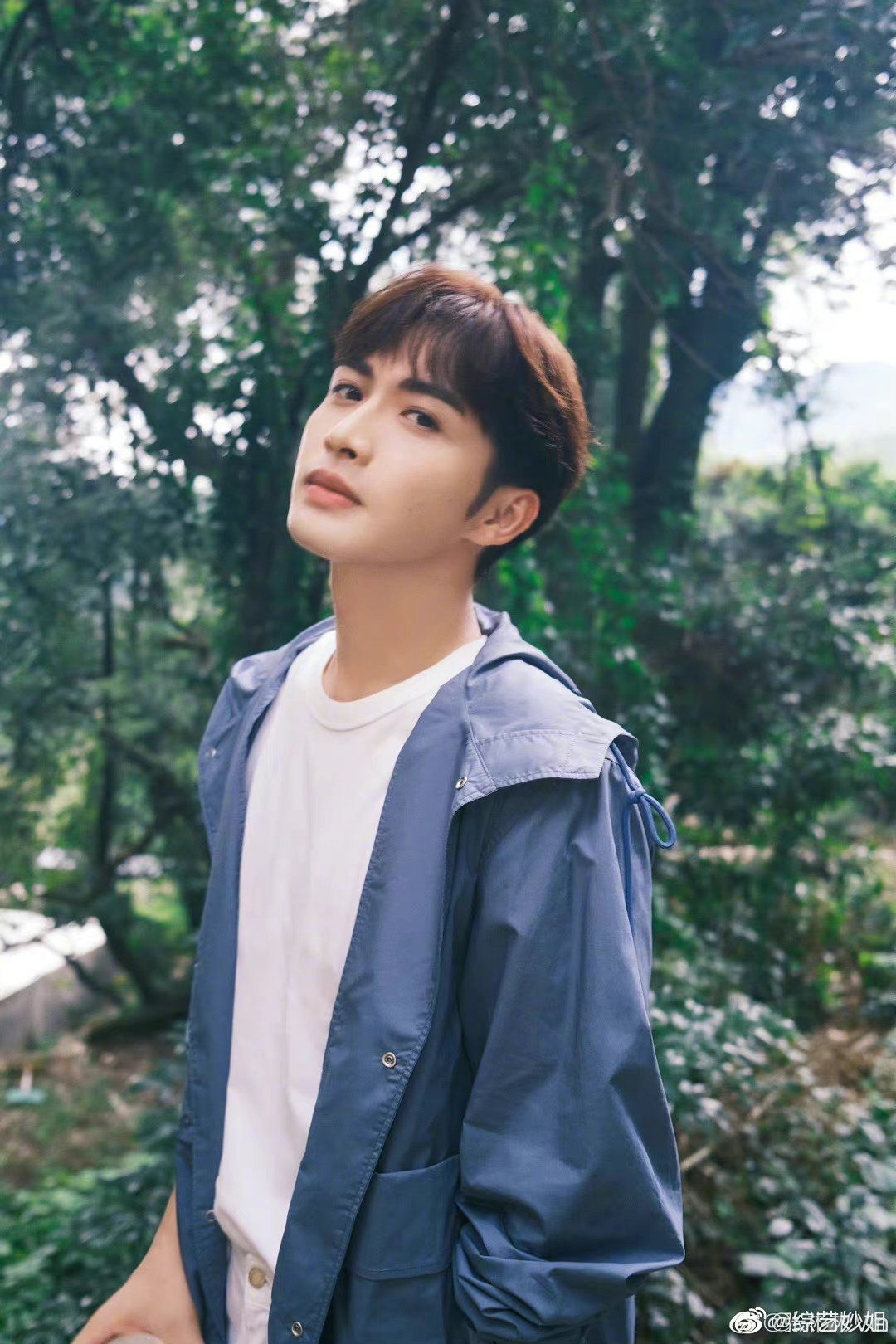 张彬彬发长文告别两个人的小森林