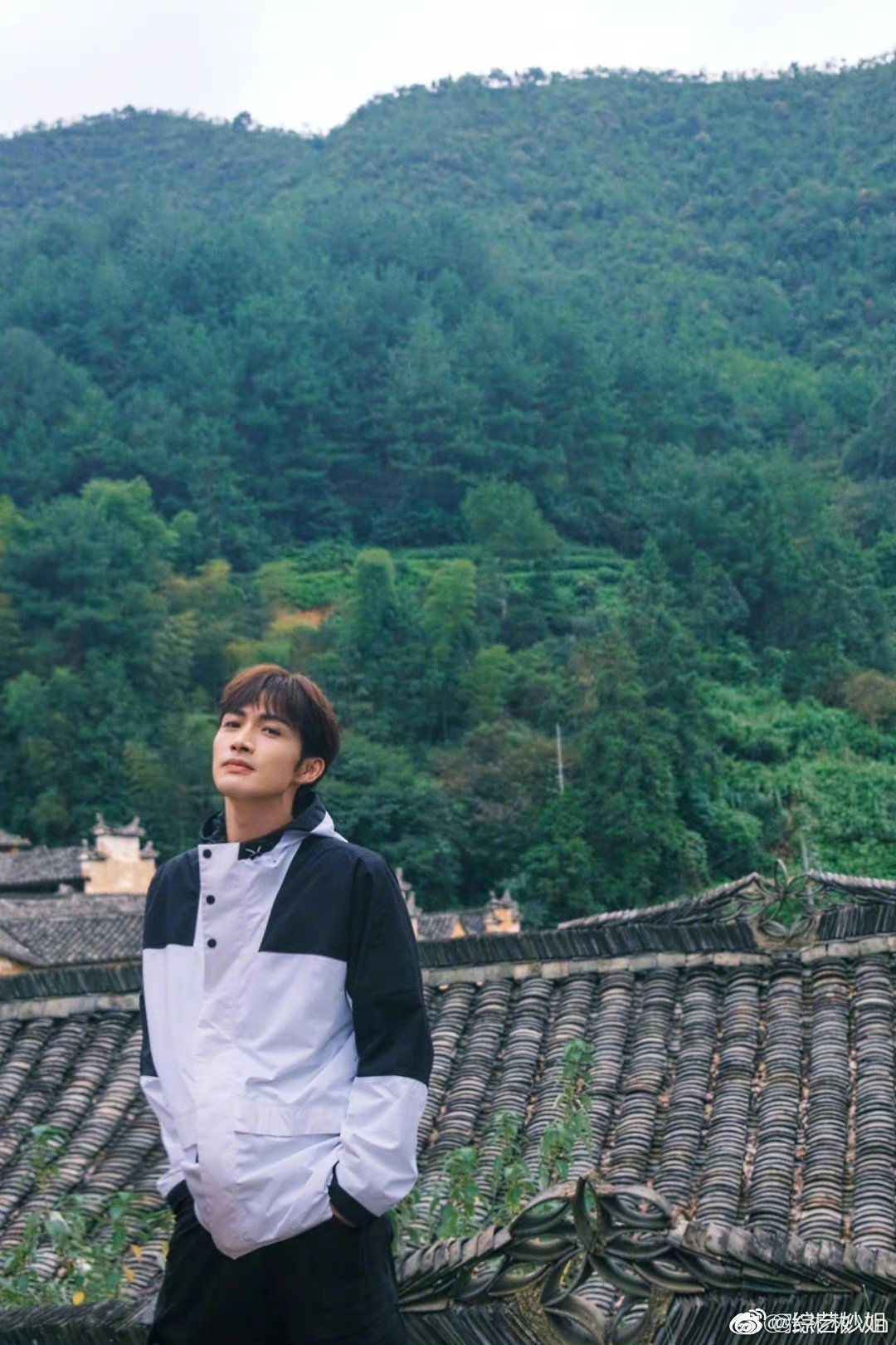 张彬彬发长文告别《两个人的小森林》……__财经头条