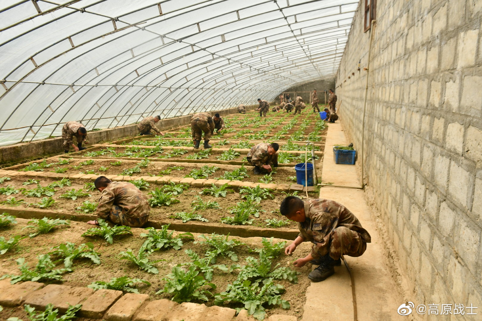 吃苦耐劳!高原战士的菜篮子