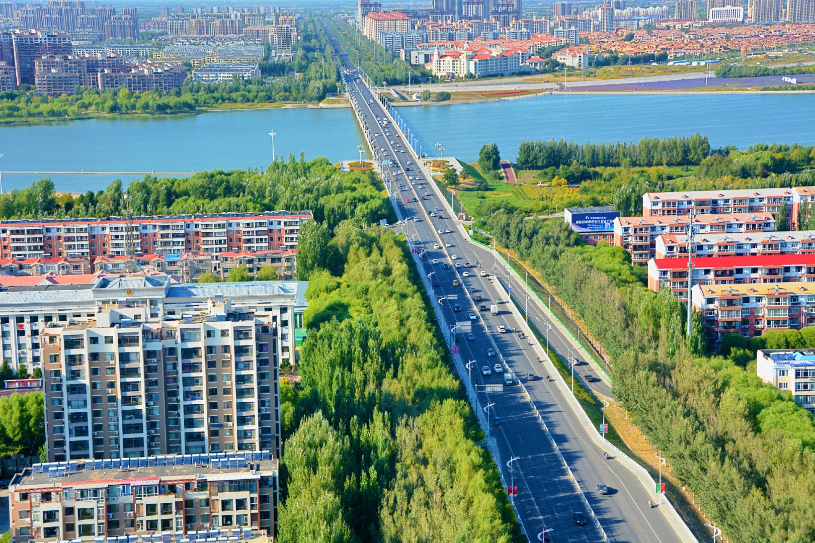 通辽市哲里木大桥东薰衣草花园等,原创拍摄|桥东|通辽市|薰衣草_新浪