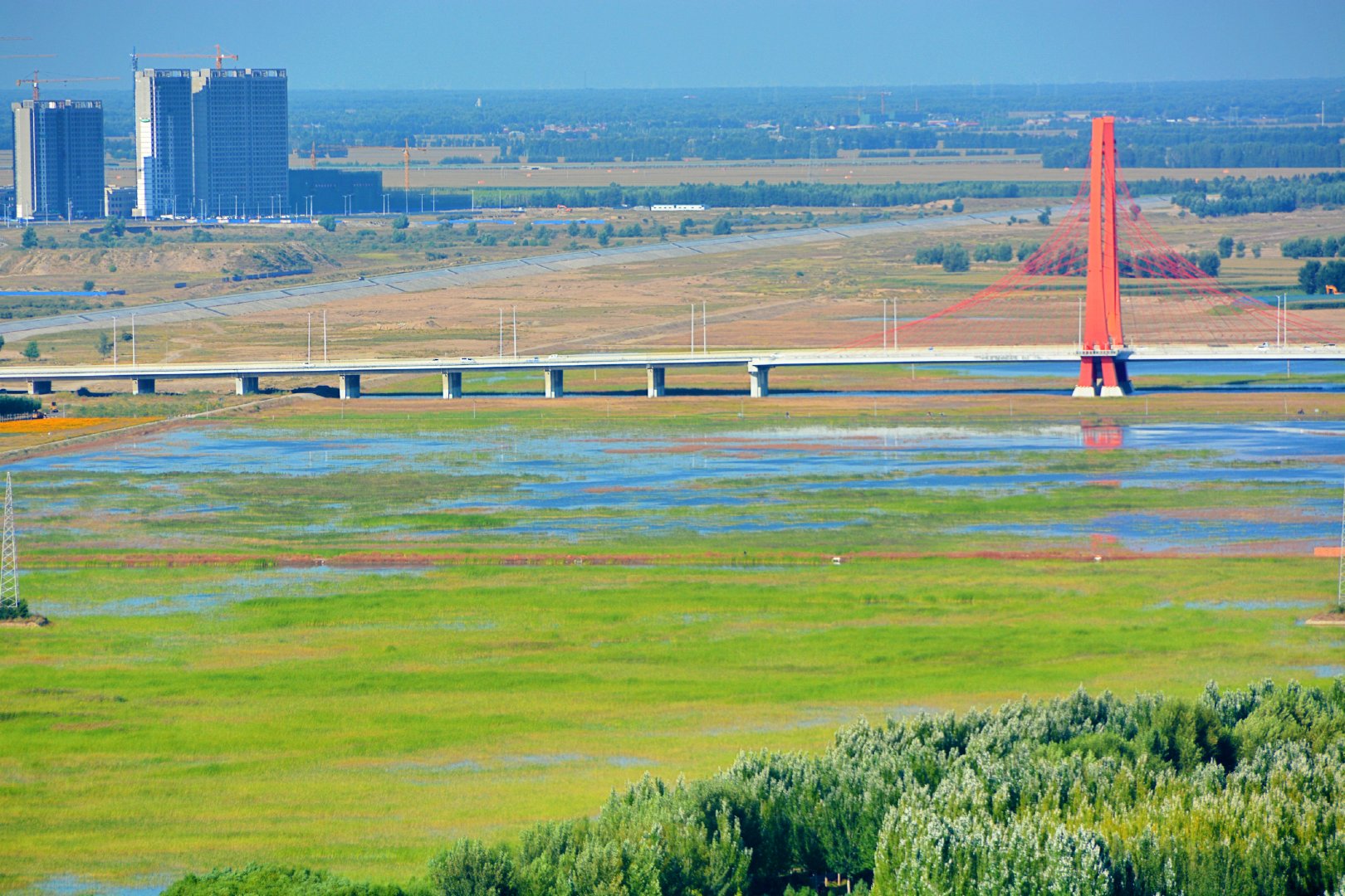 通辽市哲里木大桥东薰衣草花园等,原创拍摄|桥东|通辽市|薰衣草_新浪