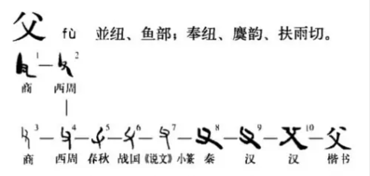 爹与爸有何区别,商周古字揭开秘密,难怪古人称父亲为爹爹