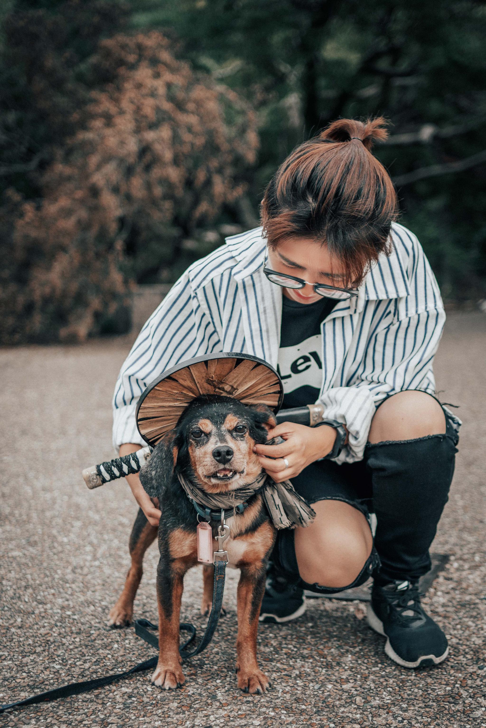 还记得日本京都那只网红狗吗?头戴斗笠,系着围巾,身背短刀