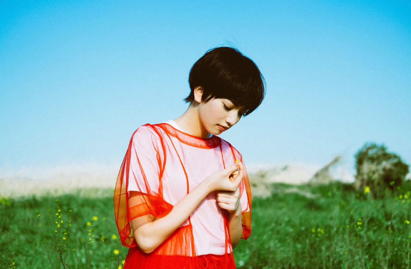 小松菜奈短发nana