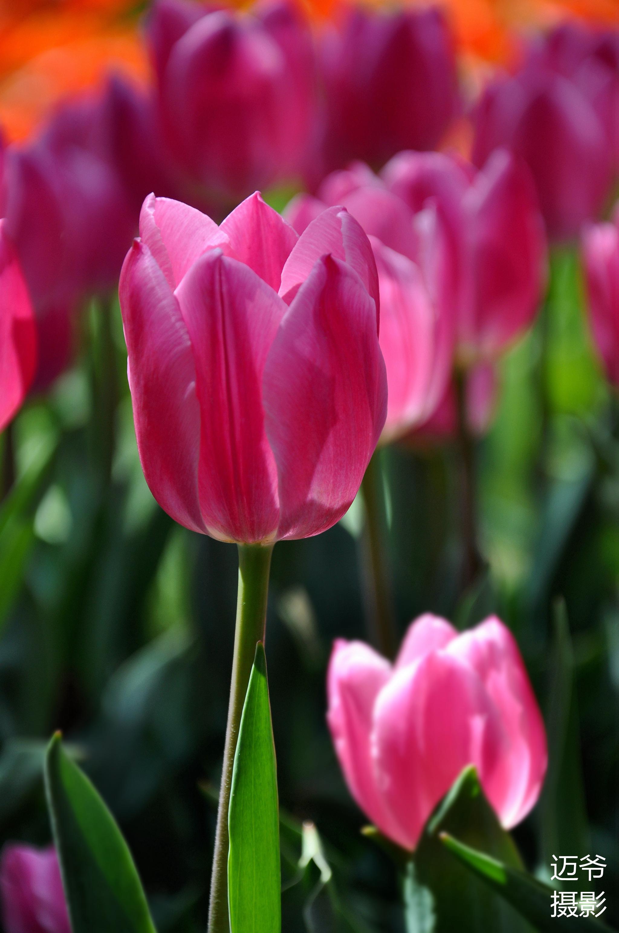 原创摄影_高清图集_新浪网