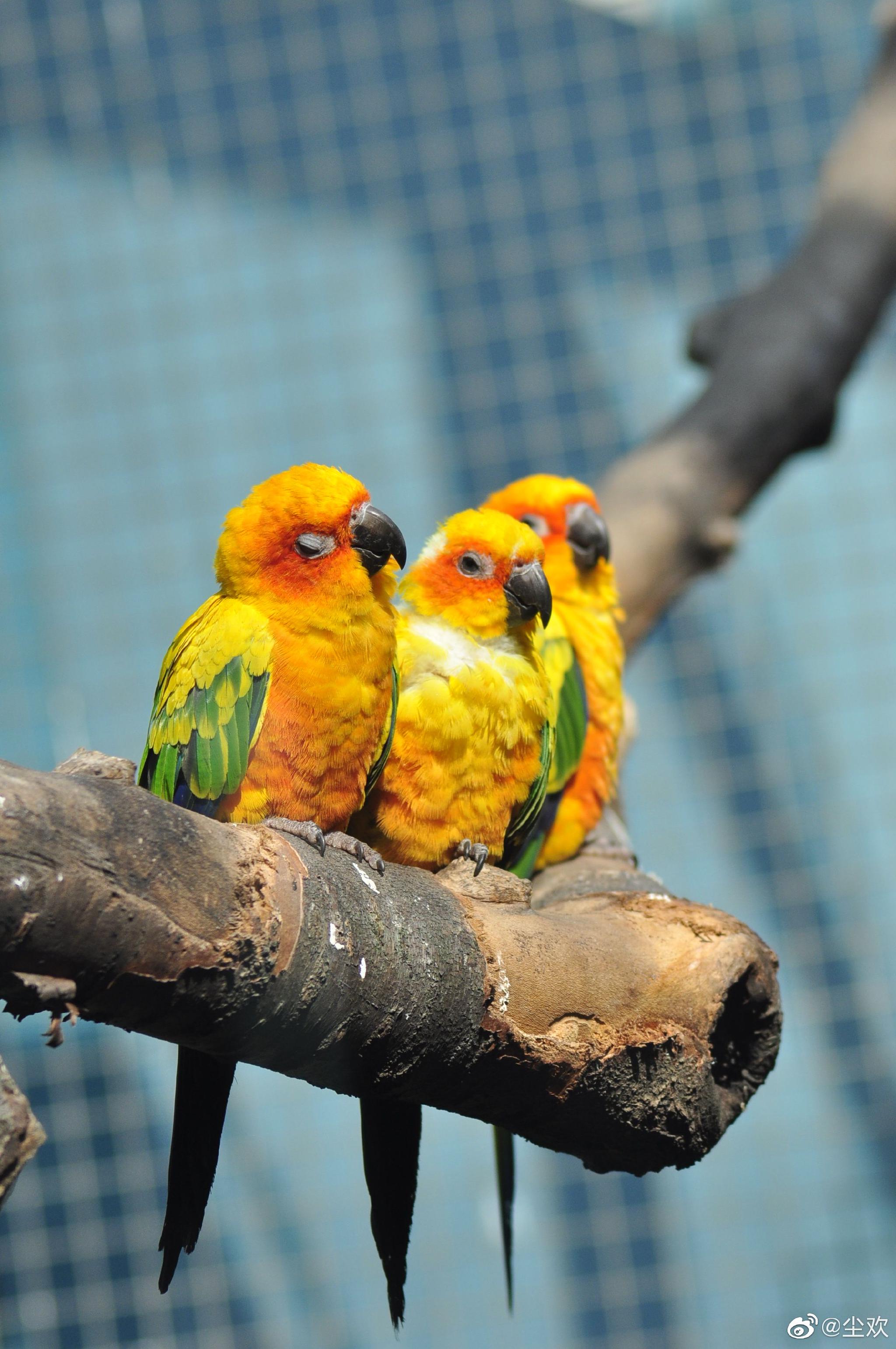 动物园里的小可爱们!