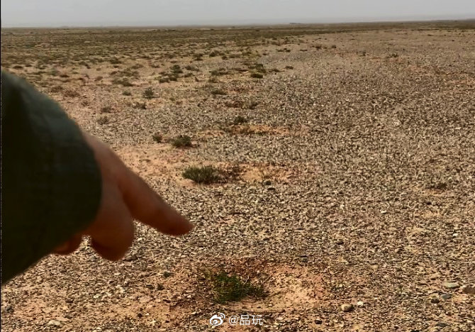 近日有网友反映，位于内蒙古阿拉善左旗的蚂蚁森林277号林疑似未种植休闲区蓝鸢梦想 - Www.slyday.coM