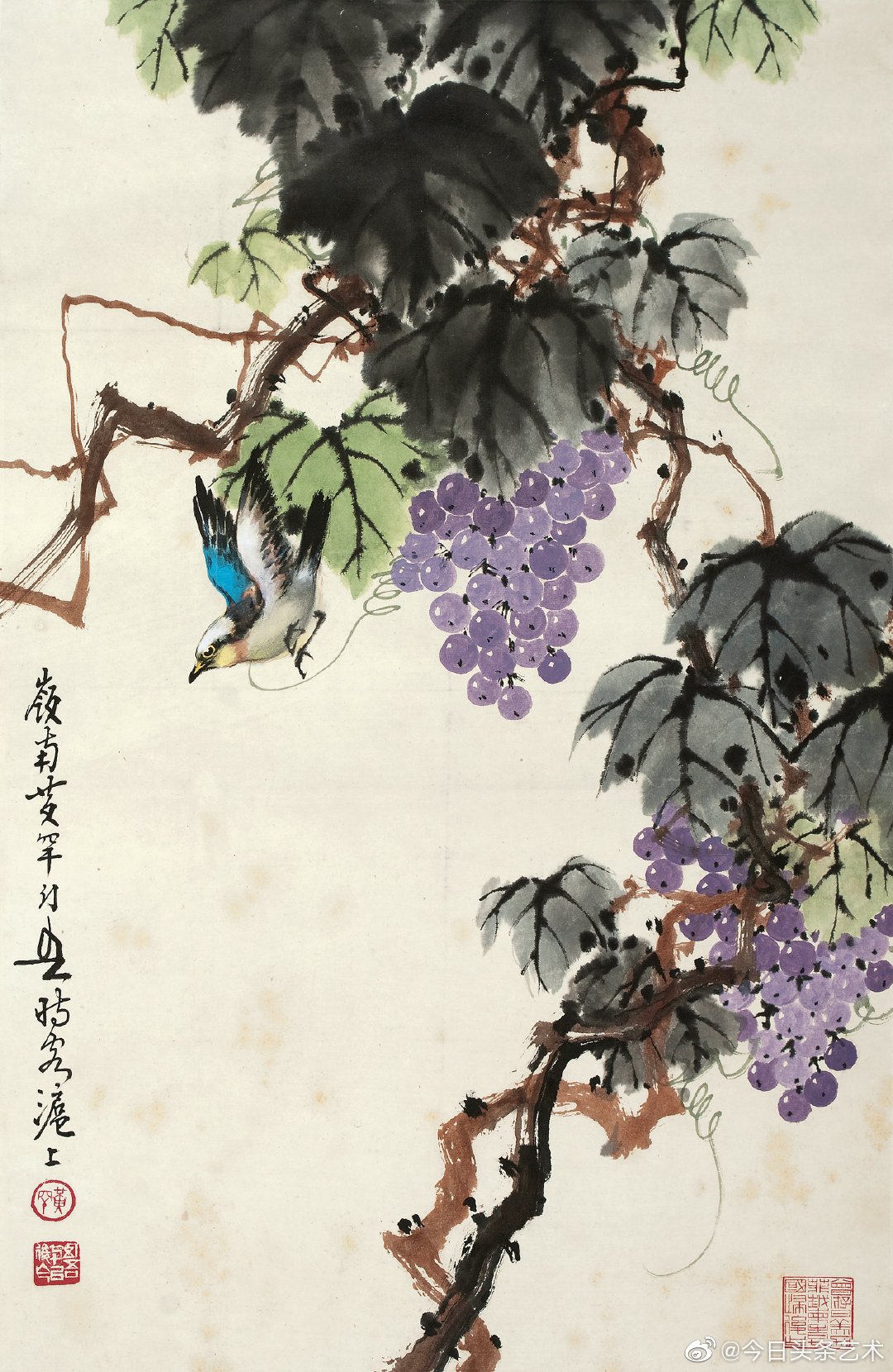 画家黄幻吾葡萄小鸟图
