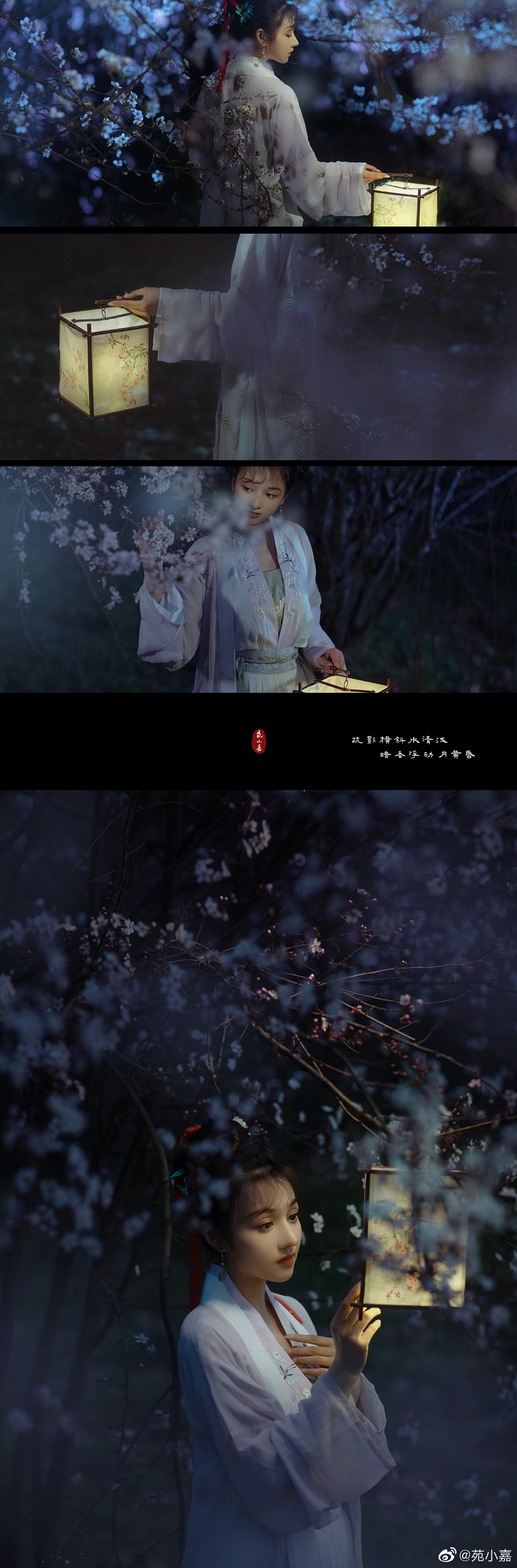 "疏影横斜水清浅,暗香浮动月黄昏." 今年第一次夜景
