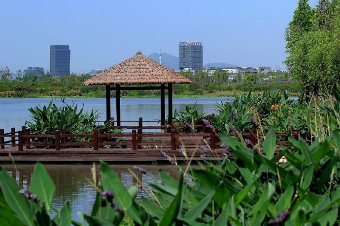 三垟湿地公园位于温州市瓯海区三垟街道……__财经头条