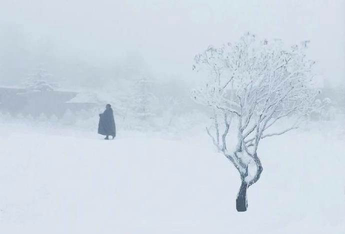 峨眉山雪中人独行总是宁静中多那么几分禅意