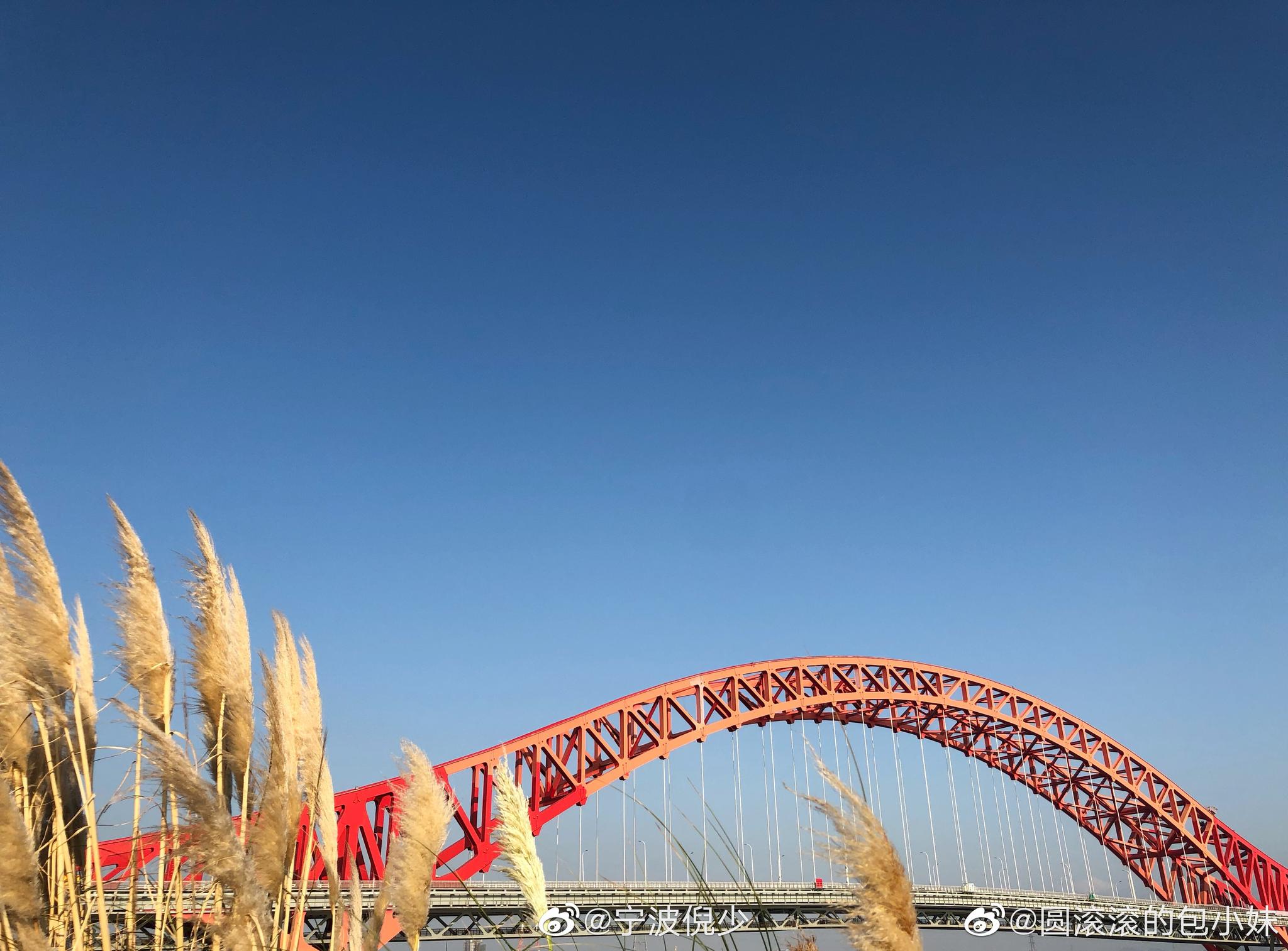 投稿:冬日午后暖暖的阳光(北仑梅山红桥桥下)