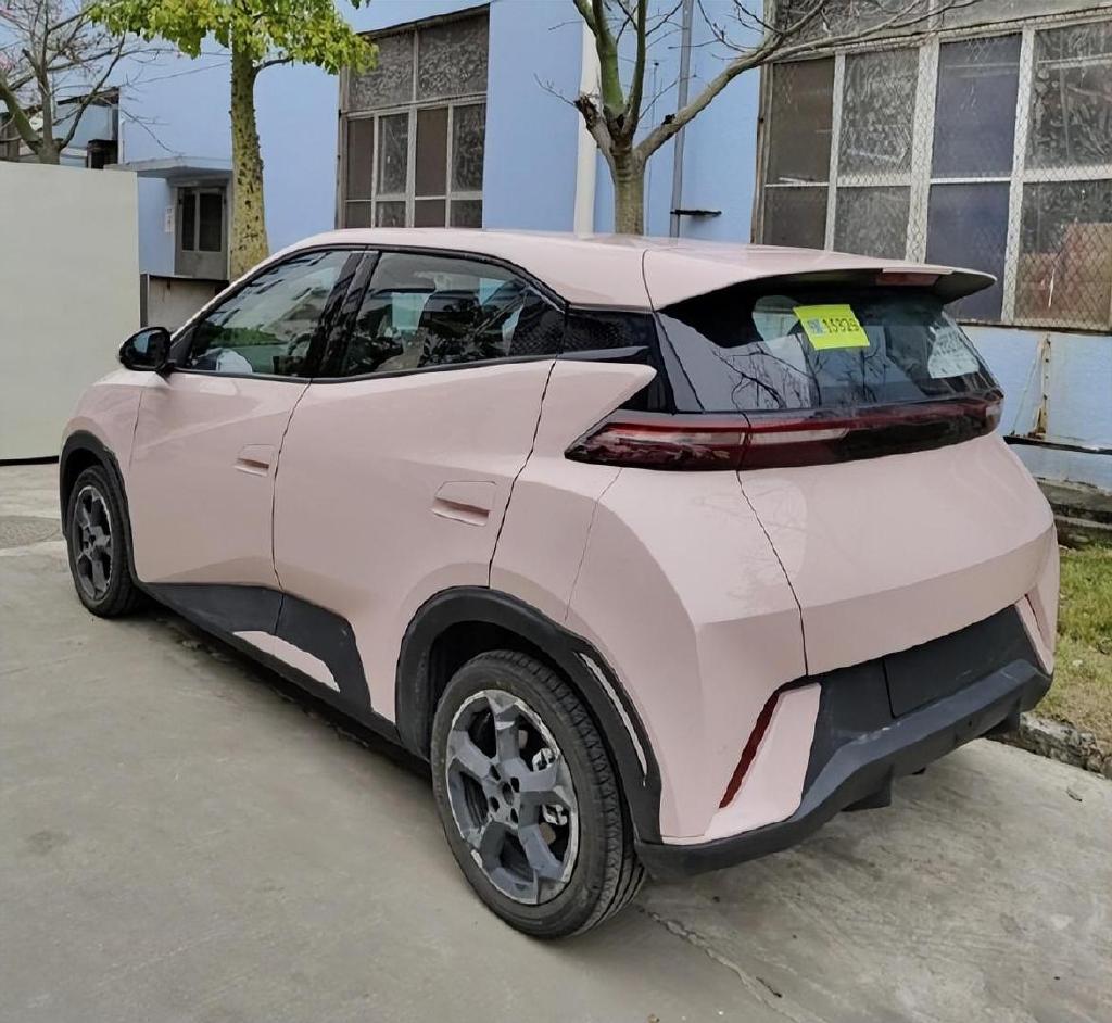 金彭一万元左右的海鸥款电轿